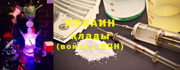 дмт Алексин