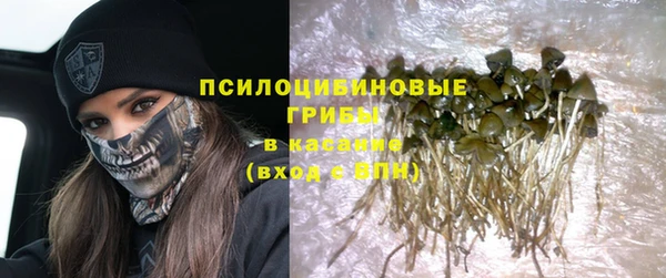 ECSTASY Аркадак