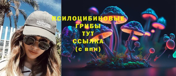 дмт Алексин