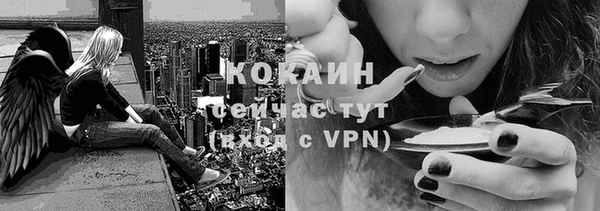 2c-b Козельск