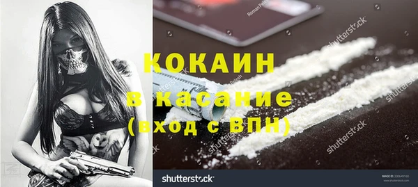 дмт Алексин