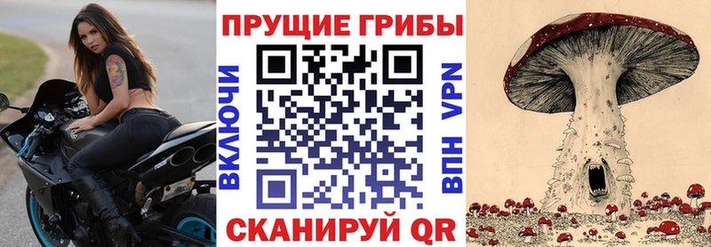 Псилоцибиновые грибы мицелий где найти наркотики Томари